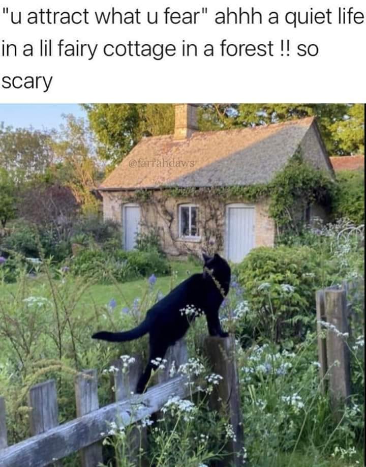 This meme is a humorous image of a black cat perched on a fence, looking out at a small, old-fashioned cottage in the woods. The text above the image reads, "You attract what you fear, a quiet life in a little fairy cottage in the woods, so scary!"